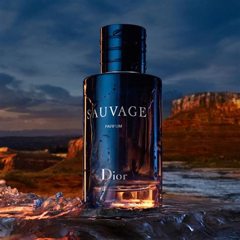 dior sauvage sauvage eau de parfum|how expensive is dior sauvage.